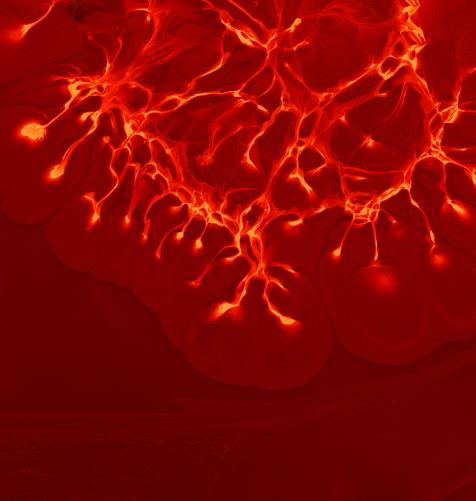 Mystics with Microscopes