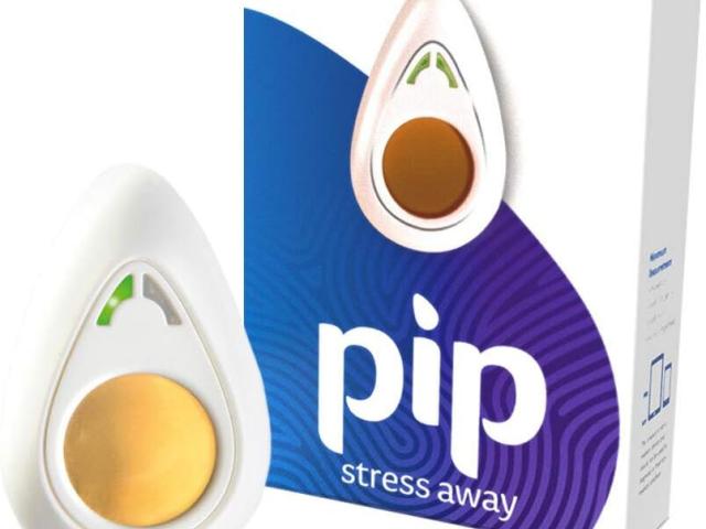 pip-banner