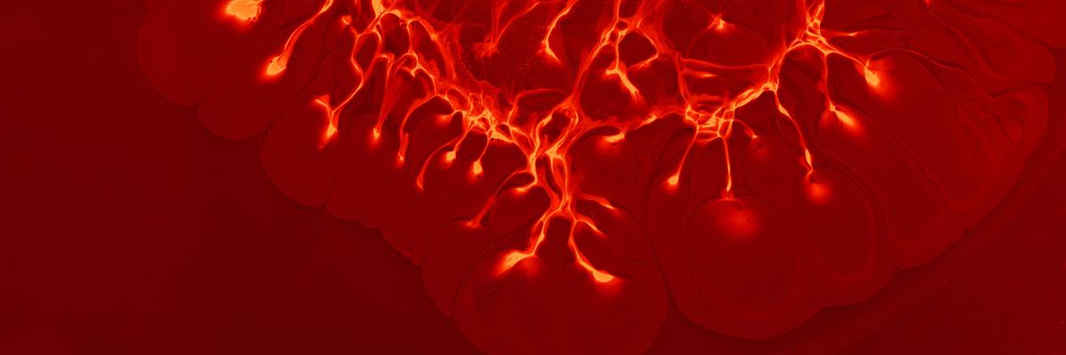 Mystics with Microscopes