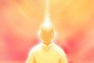 Yogi Image
